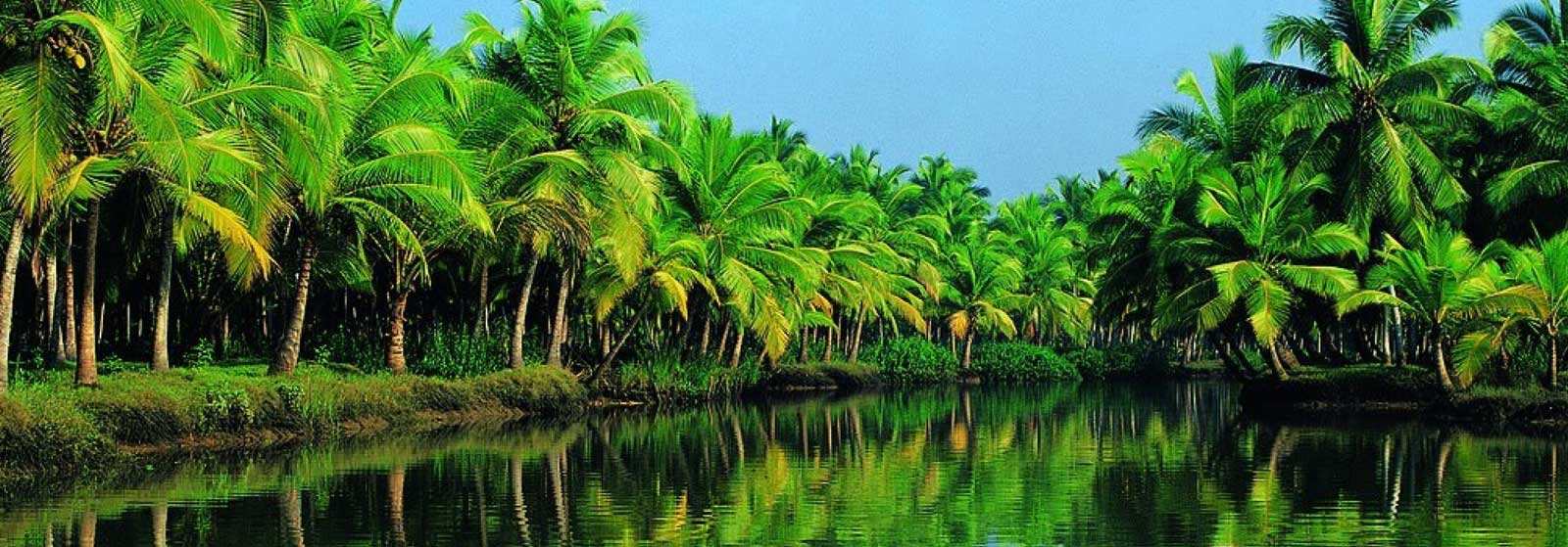 viajes a sur de India con las mejores agencias