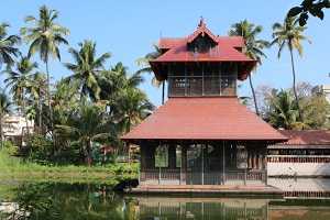 Viaje al sur de la India con guía