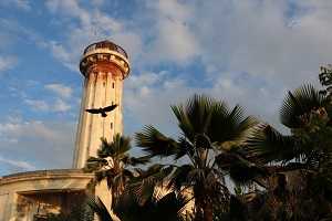 agencias de viajes del sur de india