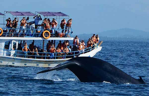 viaje en grupo al sur de india